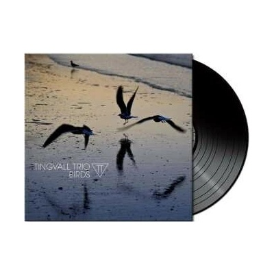 Tingvall Trio: Birds (180g) (black Vinyl) LP