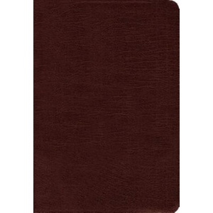 Amplified Holy Bible, Bonded Leather, Burgundy | Zondervan Publishing (ISBN: 9780310443940)