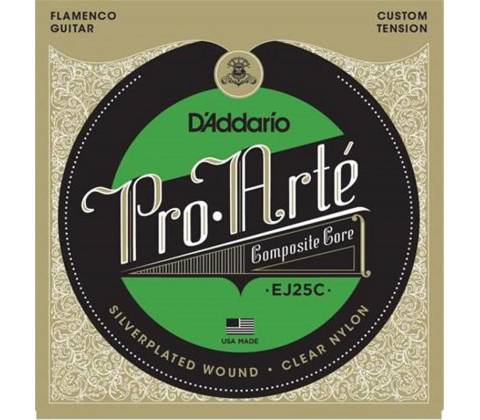 D'ADDARIO EJ25C