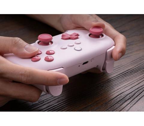Ultimate Wired Controller 6922621504627