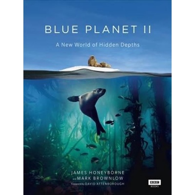 James Honeyborne, Mark Brownlow - Ocean