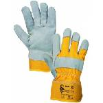 CXS DINGO 321000100011