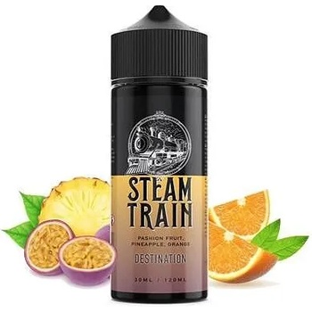 Steam Train Destination 30ml/120ml