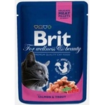 Brit Premium salmon & trout 100 g