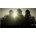 Stickman Wars