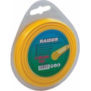 Raider 110210