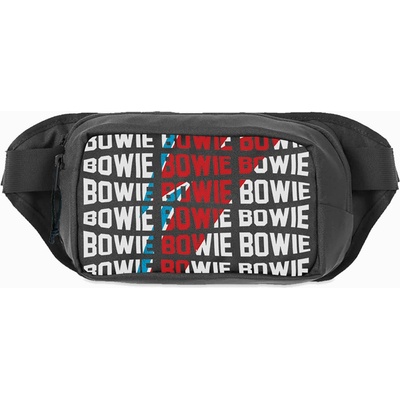 David Bowie Warped