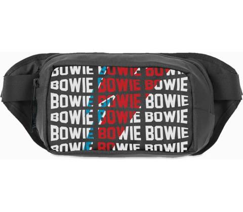 David Bowie Warped