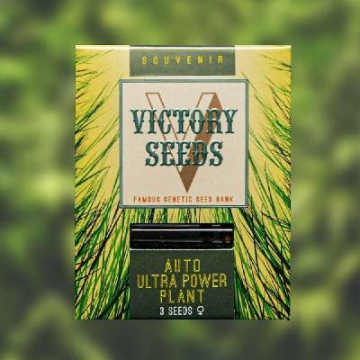 Victory Seeds AUTO Ultra Power Plant semena neobsahují THC 10 ks