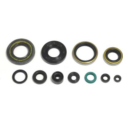 Sada gufer motoru ATHENA P400250400256
