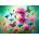 Enjoy - Puzzle Butterfly Garden - 1 000 piese