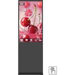 EVOBOARD TP-550H