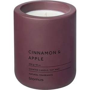 blomus Cinnamon & apple 290 g
