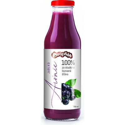 Ovocňák Mošt JABLKO ARÓNIE 750 ml – Sleviste.cz