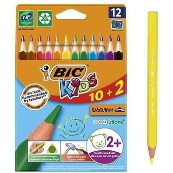 Bic Evolution Triangle 12 barev BIC 8871463
