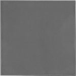 Thermal Grizzly Minus Pad Extreme V2 термоподложка (100 x 100 x 1.0 mm) (TG-MP-E2-100-100-10)