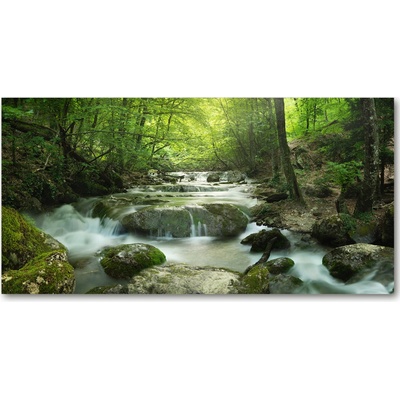 Fotoobraz na skle Vodopád v lese 100x50 cm