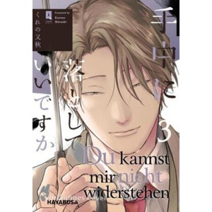 Du kannst mir nicht widerstehen 3 | Melania Schmitz (ISBN: 9783551624802)