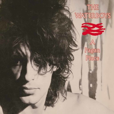 A Pagan Place - The Waterboys CD