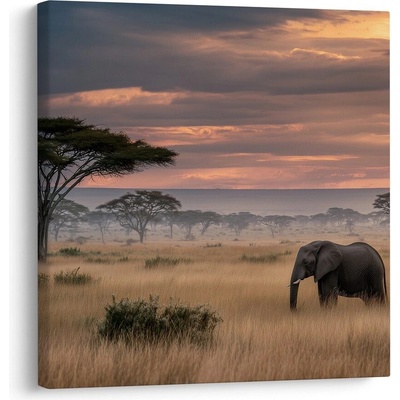 Obraz africká krajina s akácií - 40x40