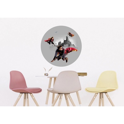 Ag Design CRD-5807 Samolepící vliesová fototapeta na zed' Harry Potter Famfrpálové Trio, rozměry 70 x 70 cm