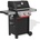 Weber E-335 GBS Spirit