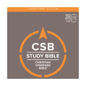 CSB Study Bible, Large Print, Digital Study Edition, Hardcover | Csb Bibles by Holman (ISBN: 9798384526223)