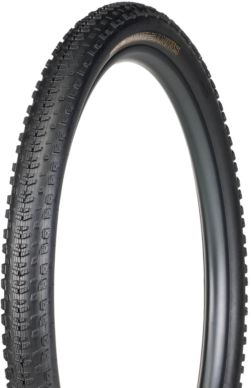 Bontrager Sainte-Anne Pro XR TLR 29x2.4 od 974 Kč - Heureka.cz
