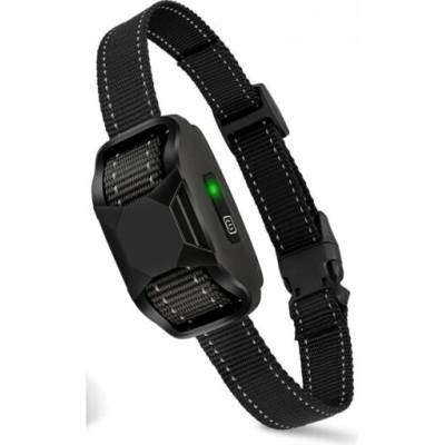 Přijímač k výcvikovému obojku Reedog P19