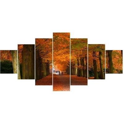 Moderní obraz F000014F210100 (Sedmidílný 210x100 cm)