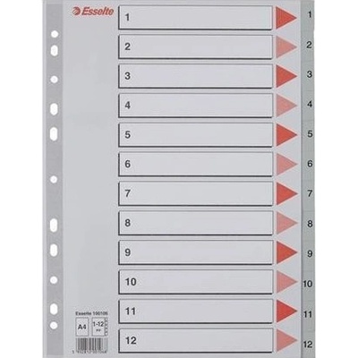 ESSELTE Rejstříky, šedá, A4, plast, 1-12, ESSELTE 400436