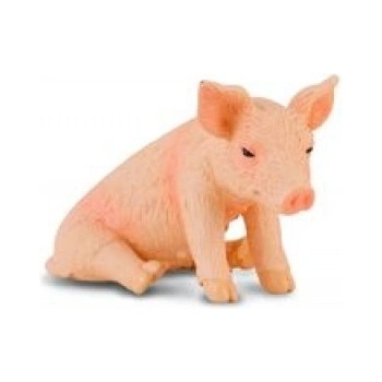 CollectA Prosię siedzące S