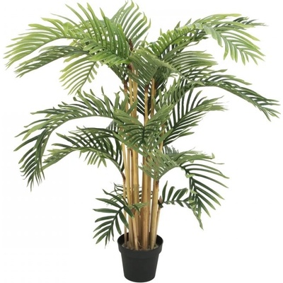 Kentia palma, 140 cm