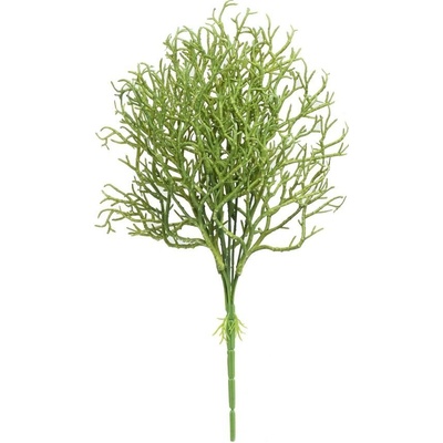 ZELEŇ KORÁL ZELENÝ 40CM