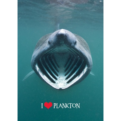 Pohlednice 3D Miluj plankton