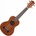 Prodipe Guitars BS1