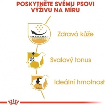 Ferplast Polička pro fretky L 373 1ks
