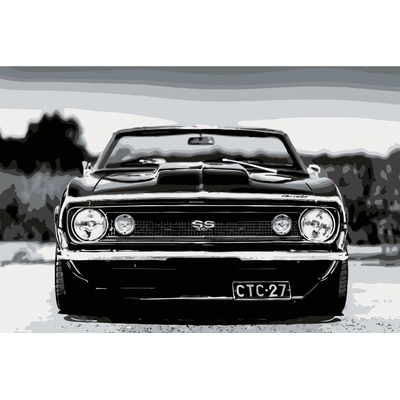 MALUJEŠ Malování podle čísel CAMARO Rozměr 80 x 120 cm Rámování vypnuté plátno na rám