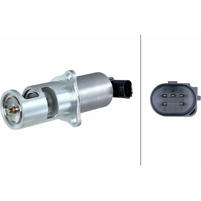 AGR - Ventil HELLA 6NU 010 171-551