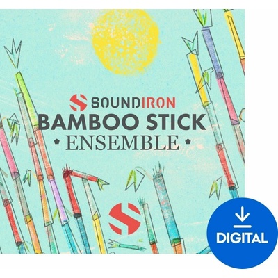 Soundiron Bamboo Stick Ensemble (Digitálny produkt)