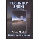 Techniky snění
