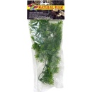 Zoo Med Borneo Star M