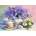 Castorland - Puzzle Hardwick: Flower Day - 1 000 piese