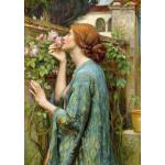 Enjoy - Puzzle John William Waterhouse: The Soul of the Rose - 1 000 piese