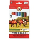 Koh i Noor 3142 Triocolor hrubé trojhranné pastelky 12 ks