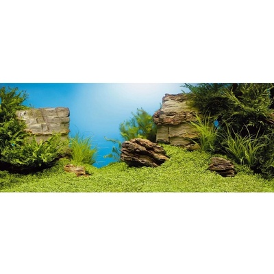 Juwel pozadí Poster 1 XL Plant Reef 150 x 60 cm – Zboží Dáma