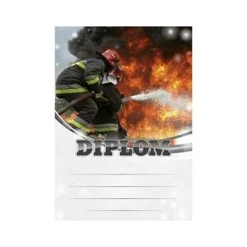 Diplom 6674