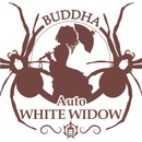 Buddha Seeds White Widow AUTO semena neobsahují THC 3 ks