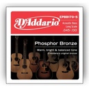 Daddario EPBB170-5