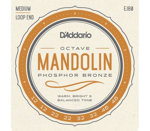 D'Addario EJ80